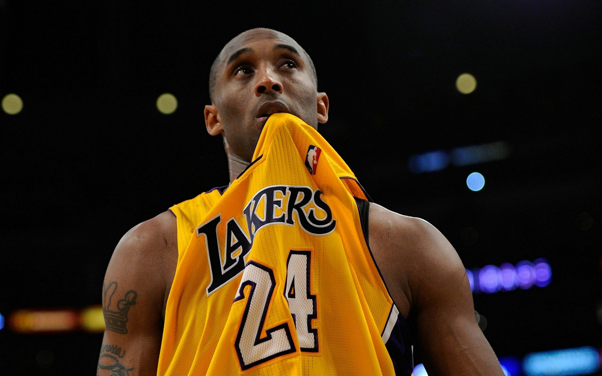 美国知名体 美国知名体